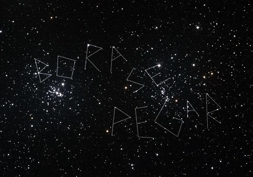 Reprodu&ccedil;&atilde;o