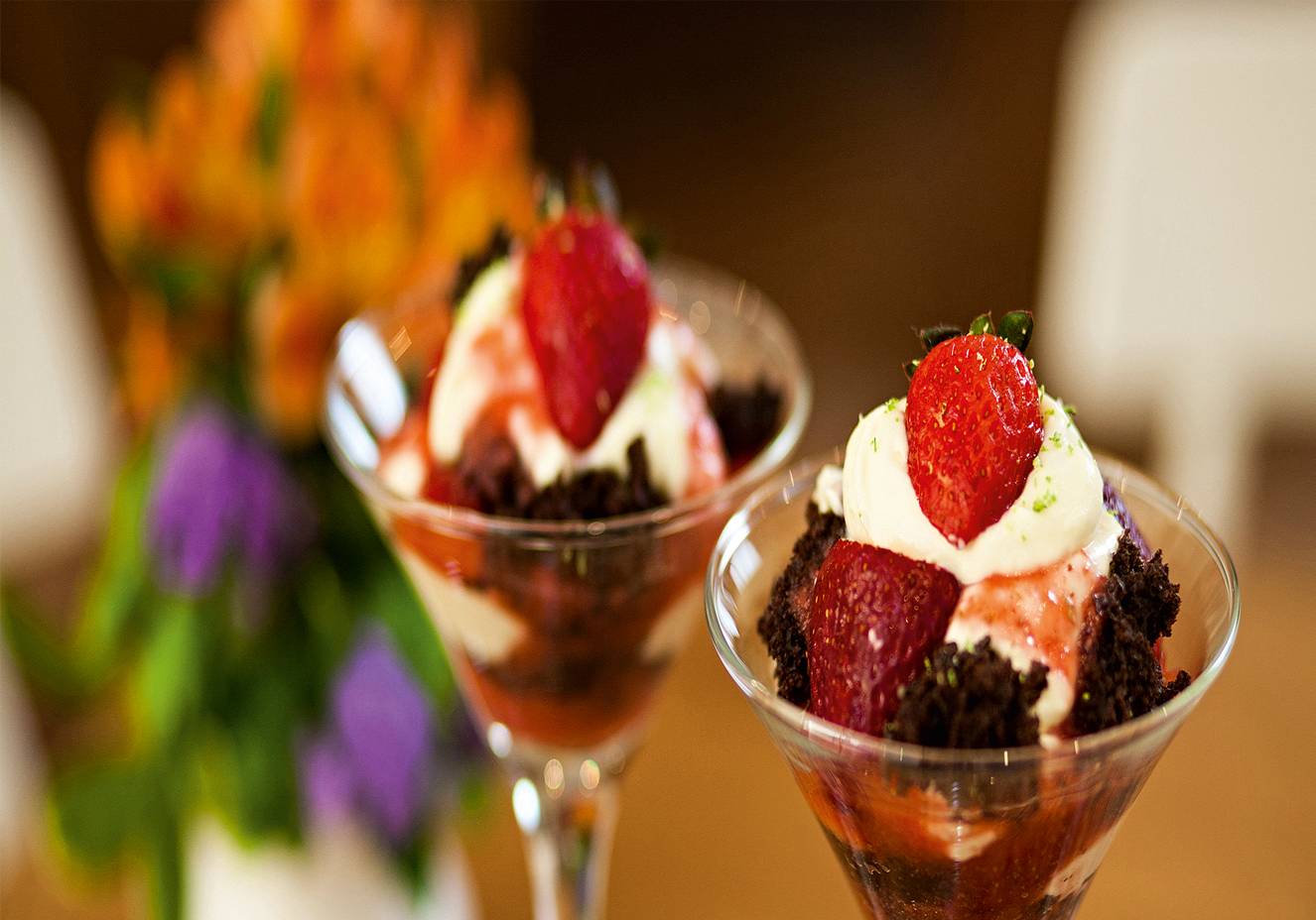 Divulga&ccedil;&atilde;o