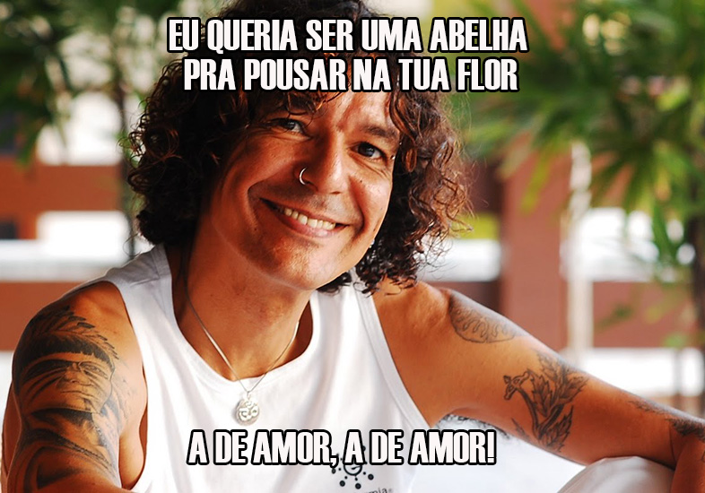 Divulga&ccedil;&atilde;o