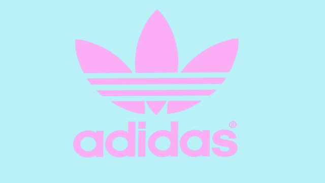 Divulga&ccedil;&atilde;o