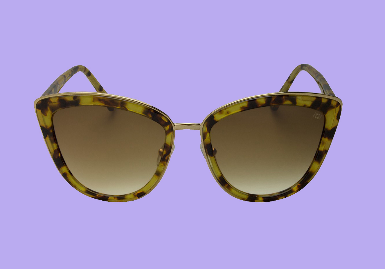 Divulga&ccedil;&atilde;o