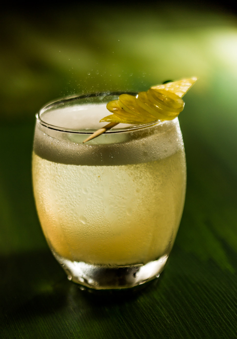 Divulga&ccedil;&atilde;o