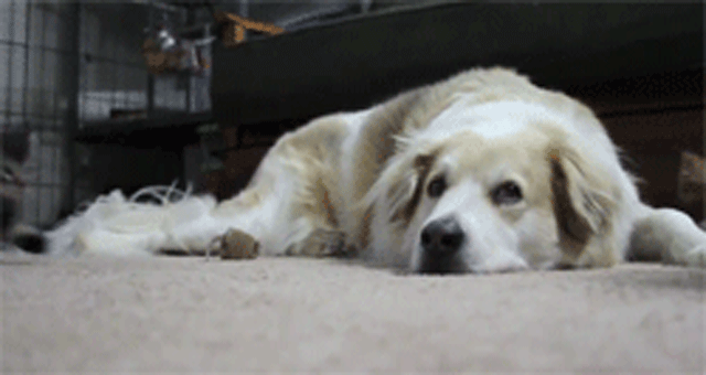 source: imgur.com source: imgur.com