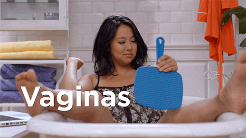 Reprodu&ccedil;&atilde;o/Giphy
