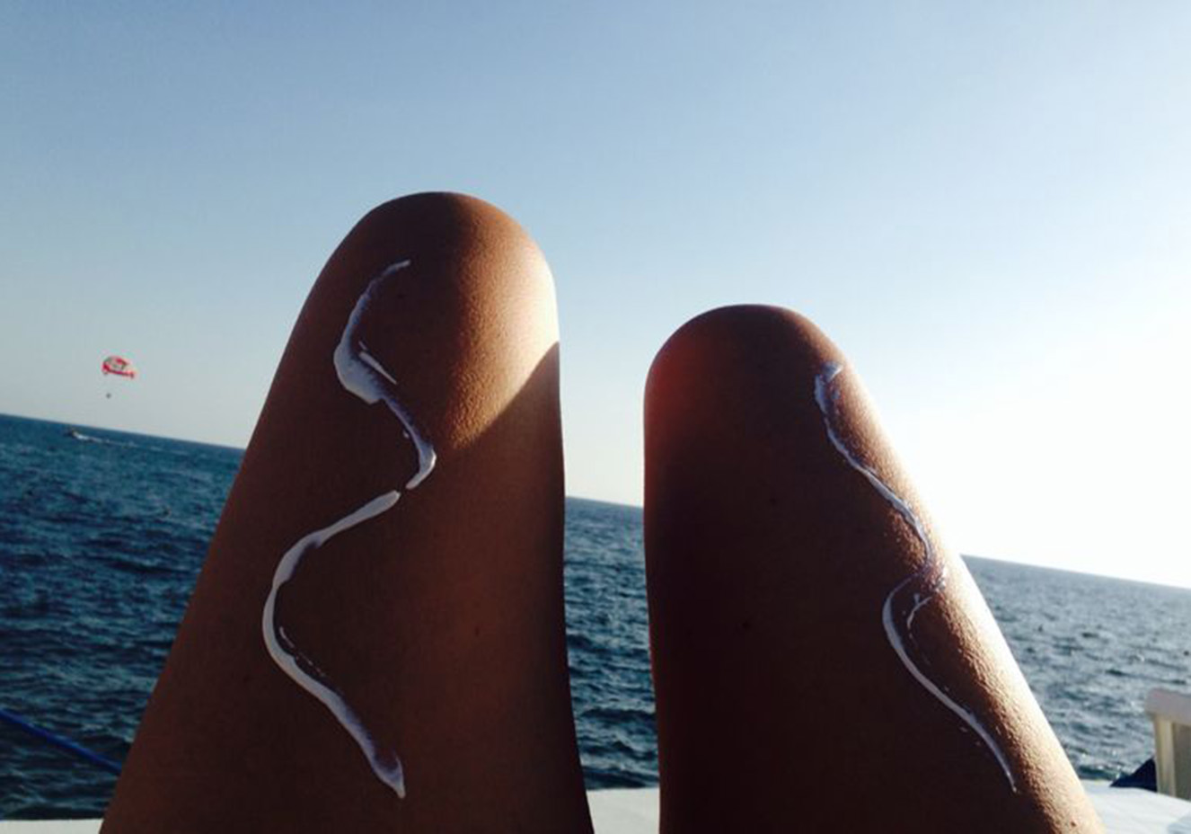 Reprodu&ccedil;&atilde;o