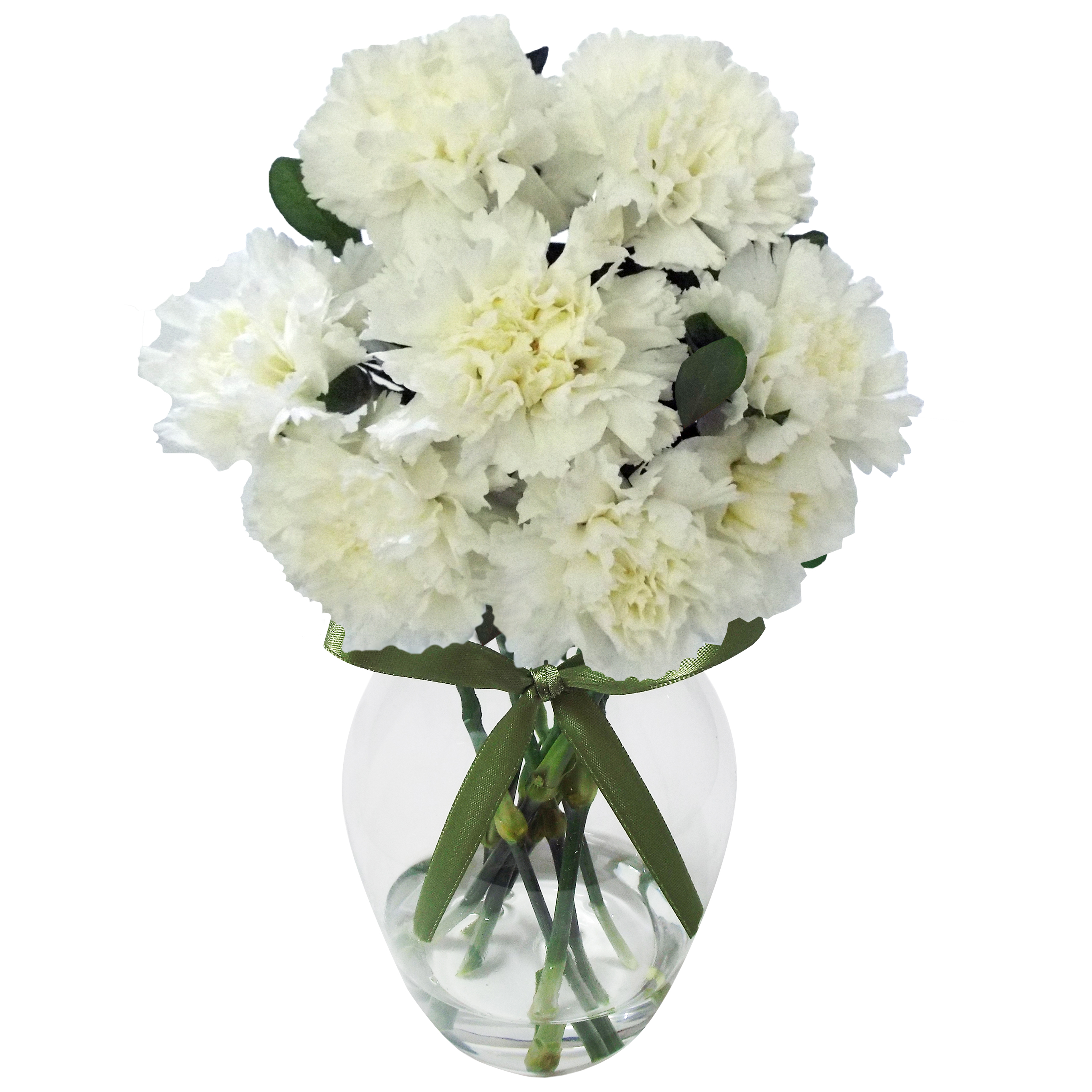 Plantas que trazem bons fluidos para casa &ndash; cravos