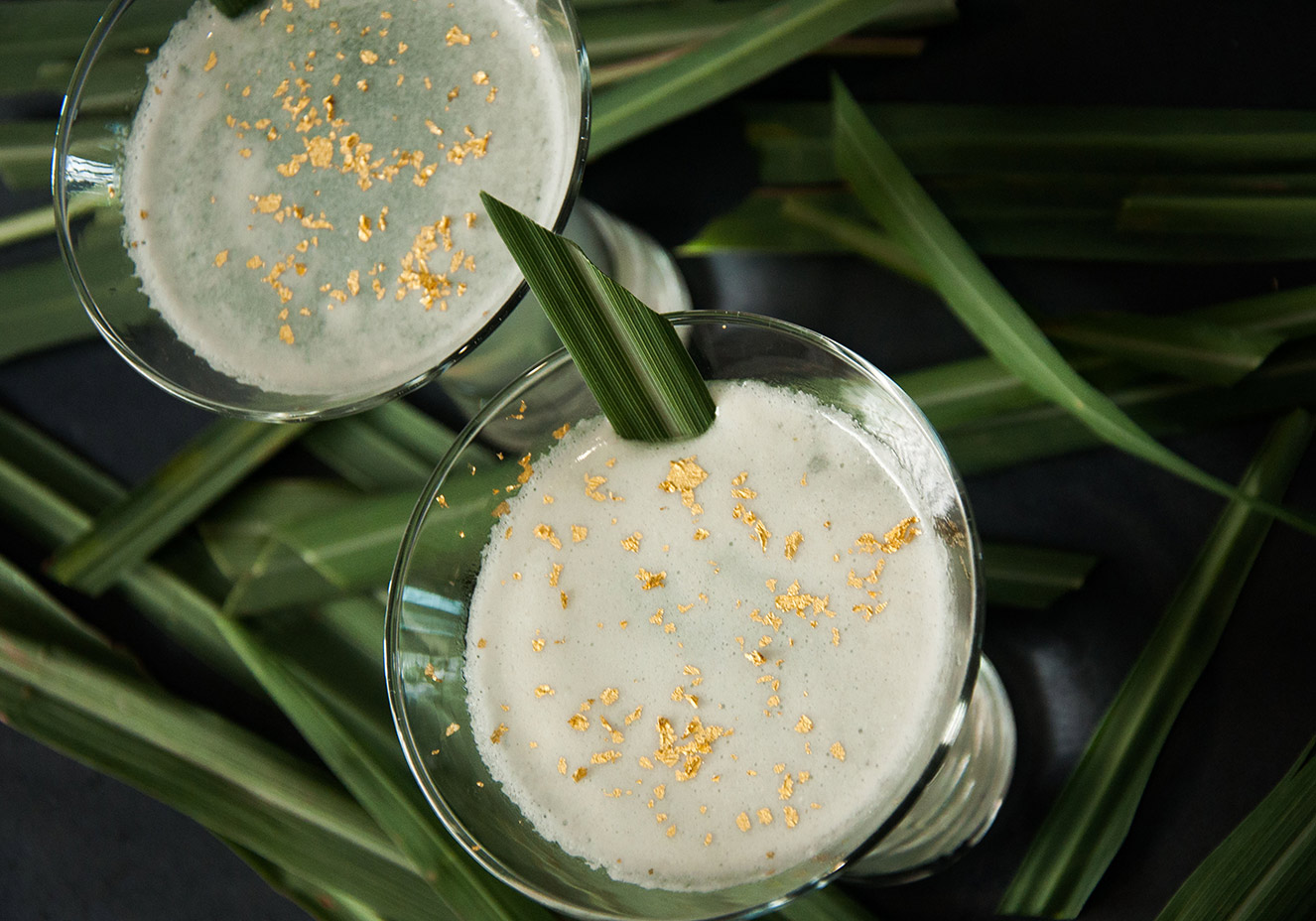 Divulga&ccedil;&atilde;o