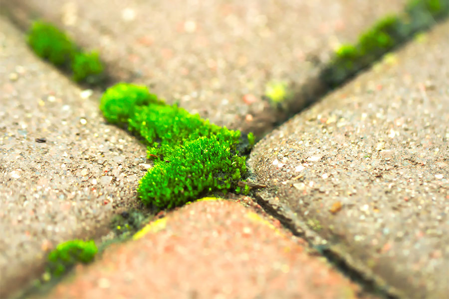 Reprodu&ccedil;&atilde;o/ThinkStock