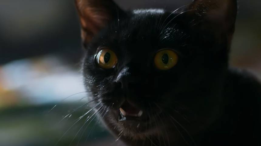 Gato León “vira homem” e salva Gabriel de tiro em ‘O Sétimo Guardião’