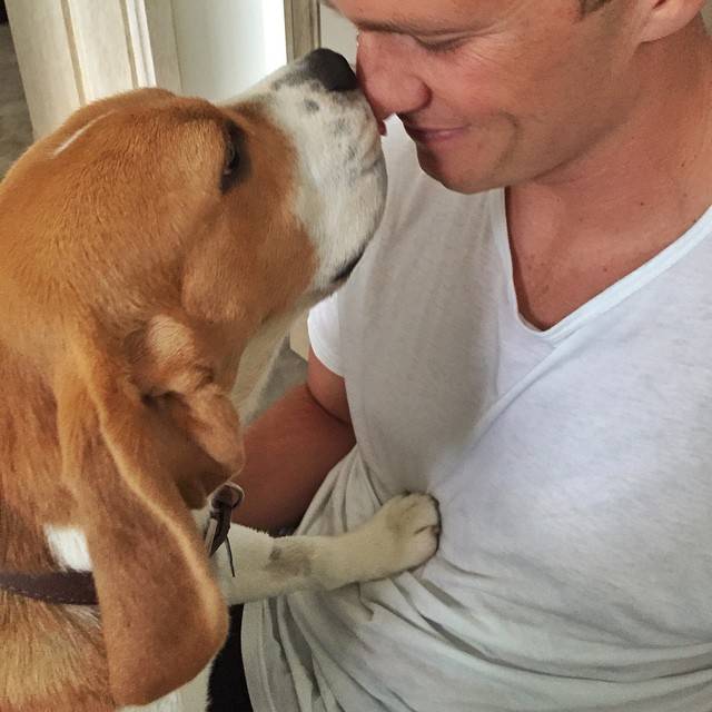 Instapet: os melhores cliques dos bichinhos dos famosos