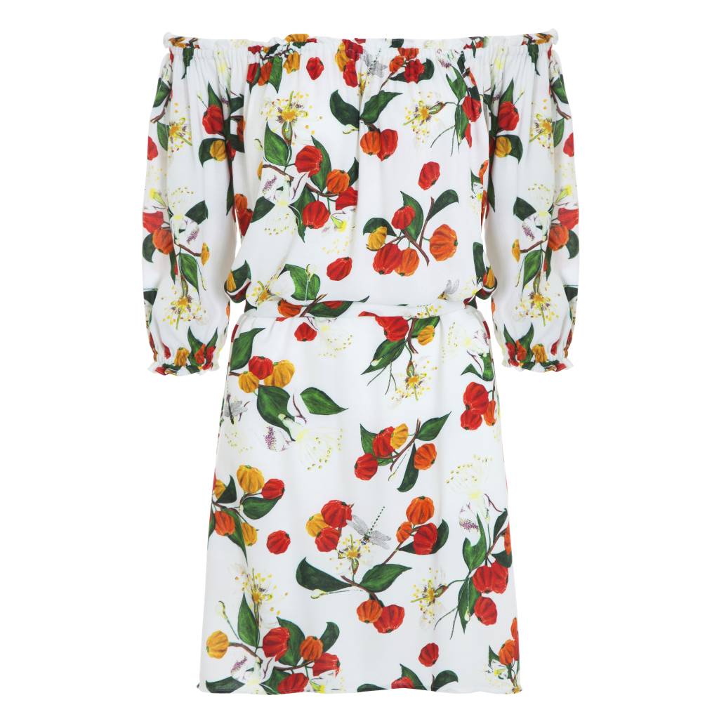 Cole&ccedil;&atilde;o Isolda para Riachuelo