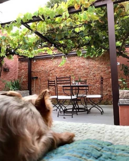 @anfigliola @anfigliola