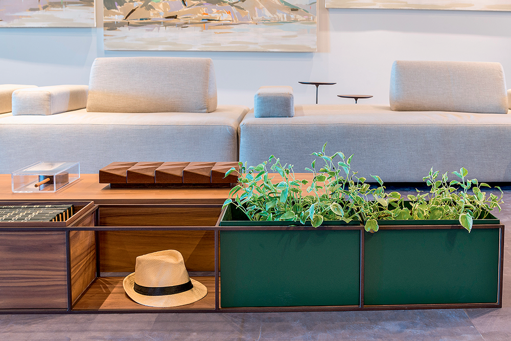 3 formas de incluir plantas no décor