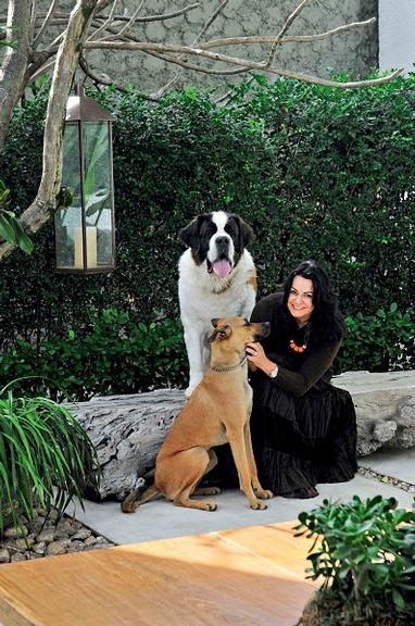 Quais são as plantas indicadas para quintal com cachorro?