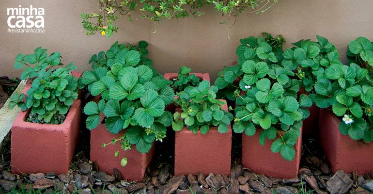 Horta cultivada em blocos de concreto e em paletes