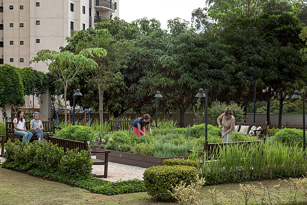 Moradores de condomínio residencial criam horta comunitária