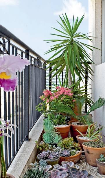 <span>Com formato irregular, a área recoberta de piso frio foi valorizada por pedriscos no tom palha. Projeto da paisagista Juliana Candian.</span> <span>Com formato irregular, a área recoberta de piso frio foi valorizada por pedriscos no tom palha. Projeto da paisagista Juliana Candian.</span>