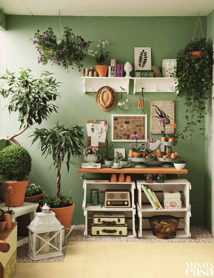 Dicas para cultivar um cantinho verde