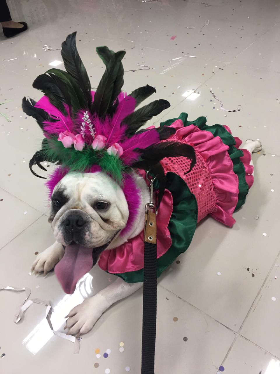 Pandora durante um bloco de carnaval