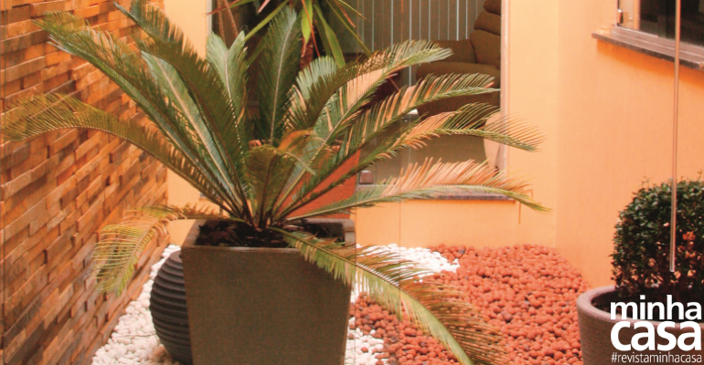 Como limpar parede de canjiquinha?