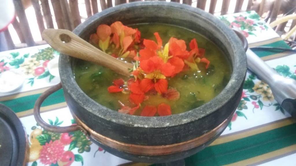 Sopa de abóbora com beldroega