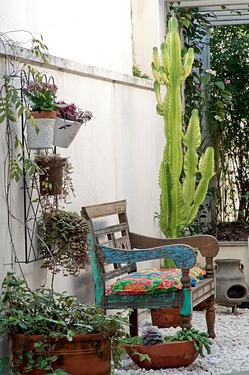 O musgo que se forma no vaso faz mal às plantas?