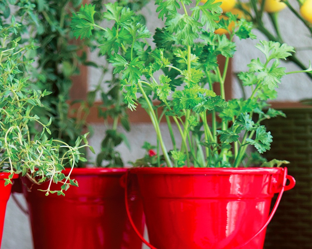 varanda-4-estilos-para-seu-cantinho-verde-temperos