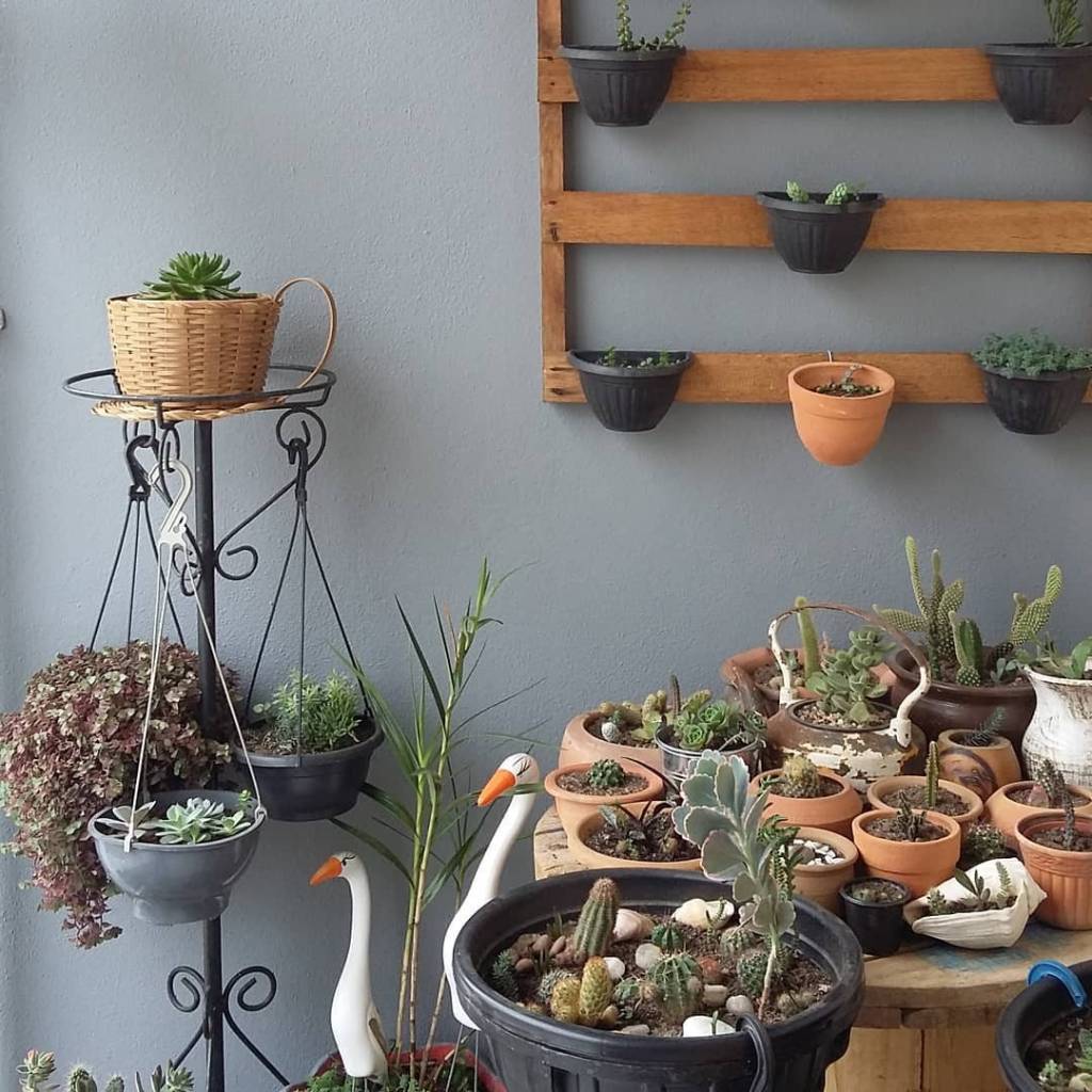 Meu canto preferido: 16 cantinhos verdes de leitores