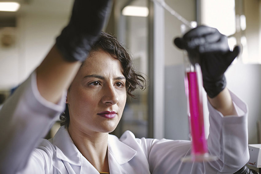 dificilserjovembrasil