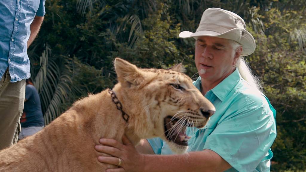 doc tiger king doc tiger king