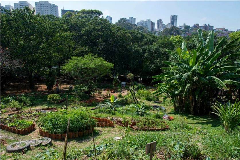 ‘Cidades em Transição’ estimula a economia verde em bairros brasileiros