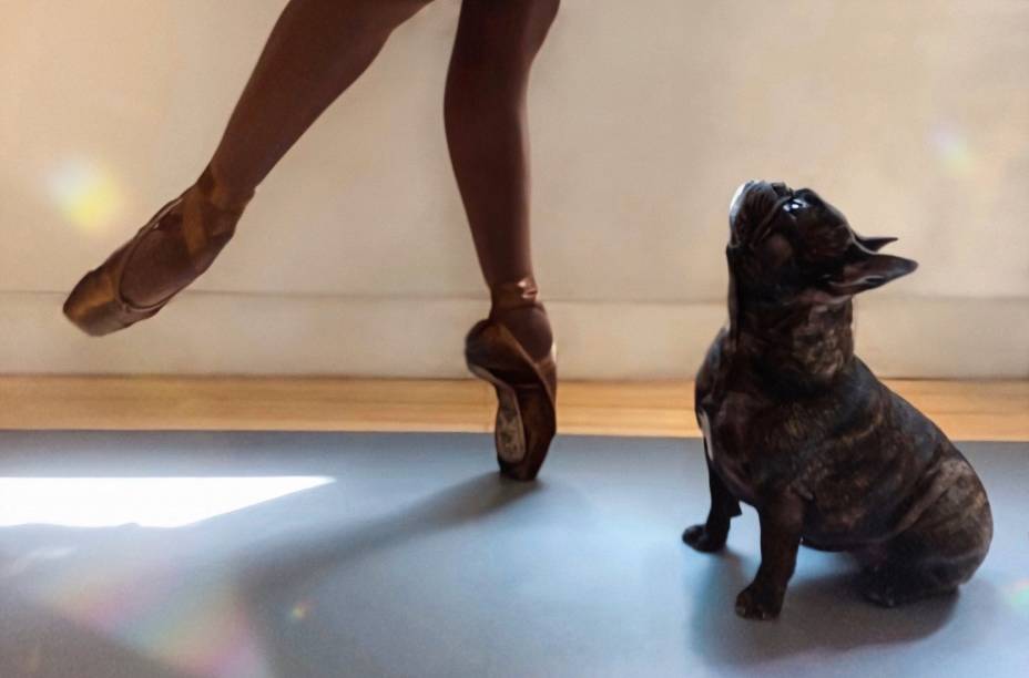 A pequena Frida quis participar do ensaio A pequena Frida quis participar do ensaio