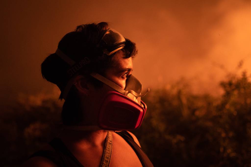 Vaquinha virtual tenta ajudar brigadistas do Pantanal, cenário é chocante