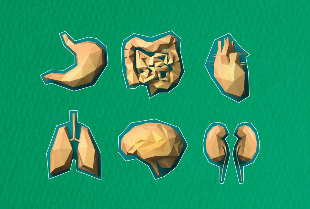 Setembro Verde: doe órgãos, doe vidas