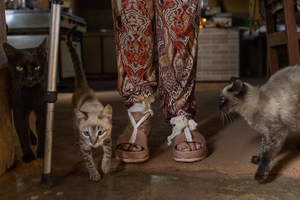 ensaio Hist&oacute;rias do Meu Quintal