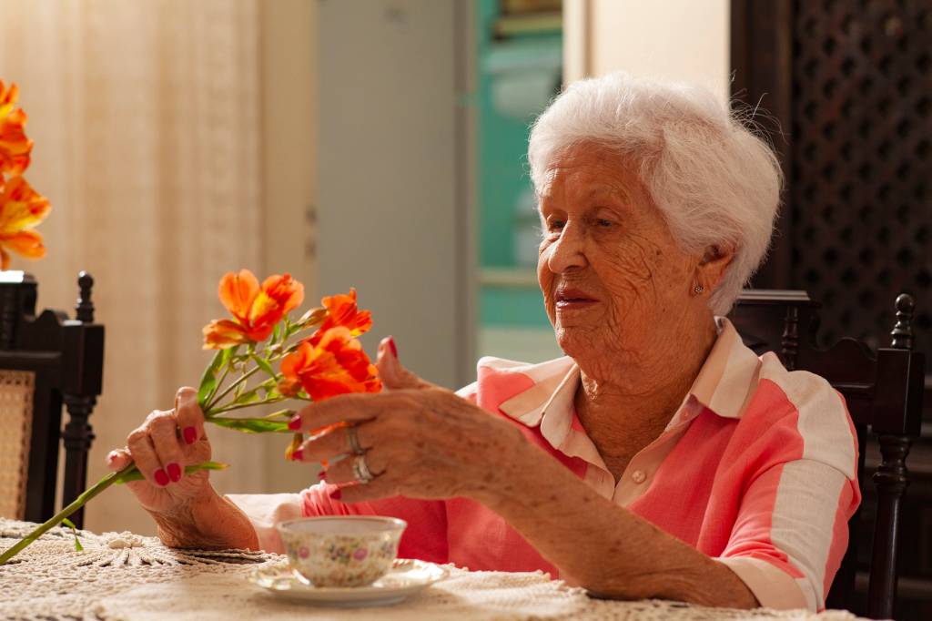 Hoje é dia de Laís, uma vovó quase centenária e além do seu tempo
