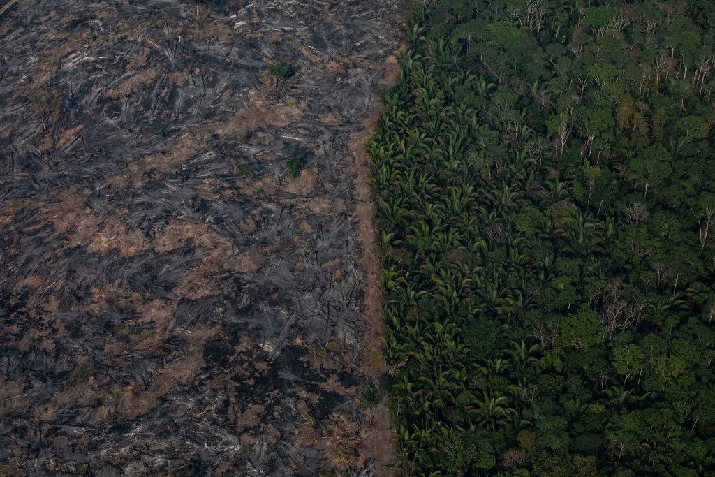 Floresta amazônica