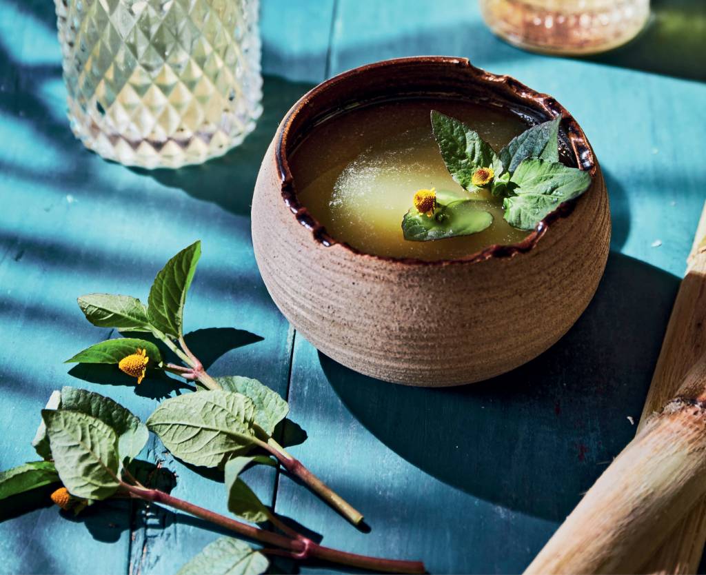 Receber – Casa Tucupi – Receitas do Acre Casa Tucupi, drinque Canavial Elétrica