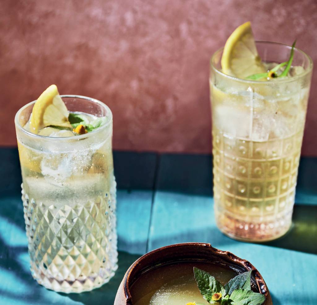 Drinque Jambu Verão