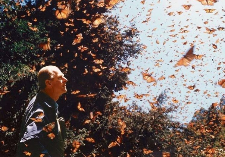 Membros da realeza dão adeus a príncipe Philip e falam do estado da rainha