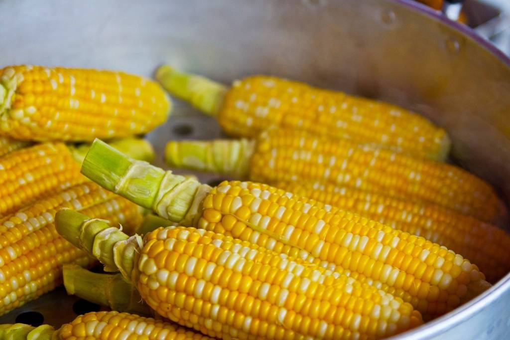 Pamonha, curau, bolo e mais 5 receitas juninas com milho
