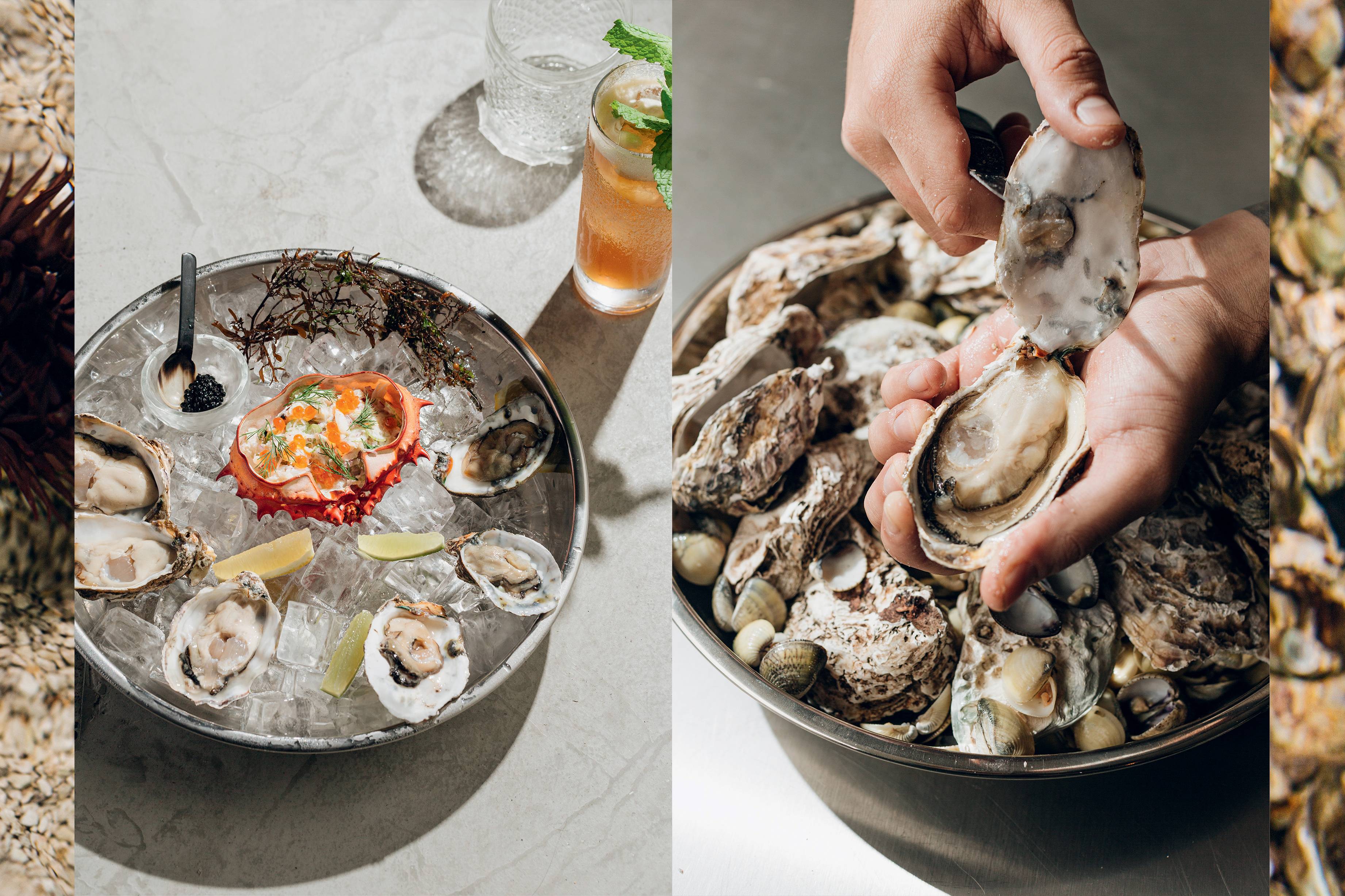 Os bares de ostras estão em alta! Conheça os sabores desse fruto do mar
