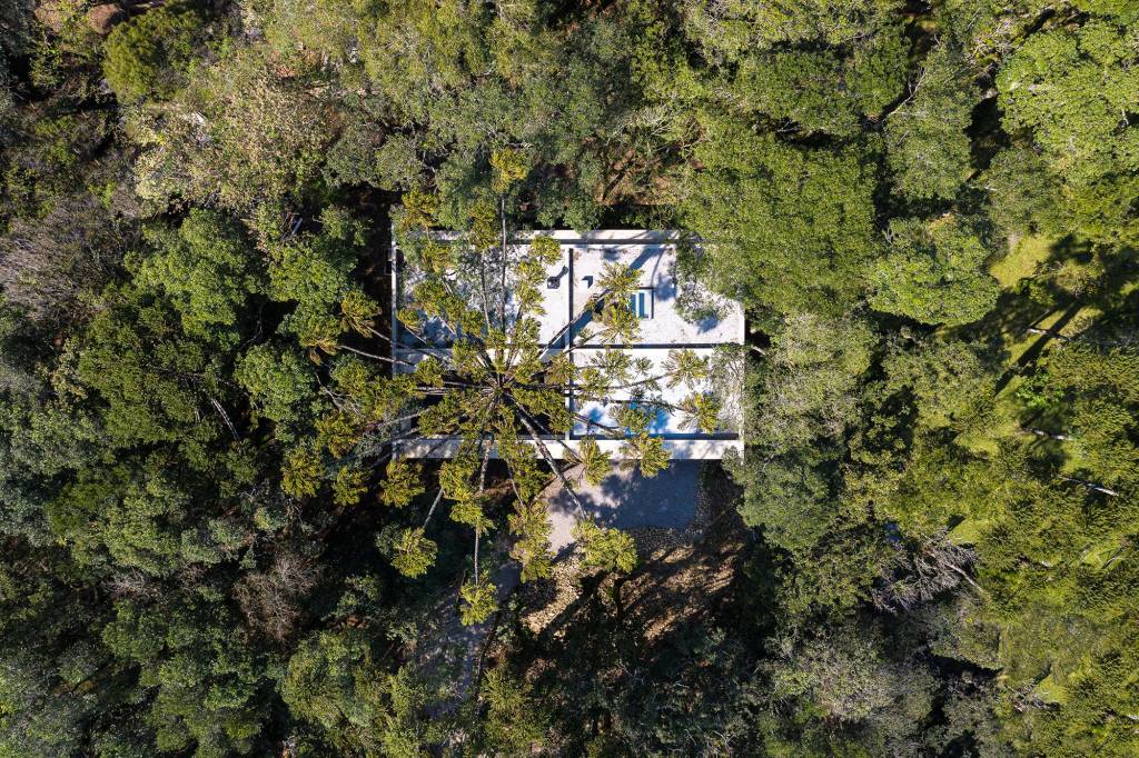casa-fortunata3 A Casa Fortunata se mimetiza na natureza ao redor de uma Araucária