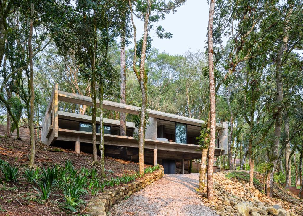 casa-fortunata8 A Casa Fortunata se mimetiza na natureza ao redor de uma Araucária