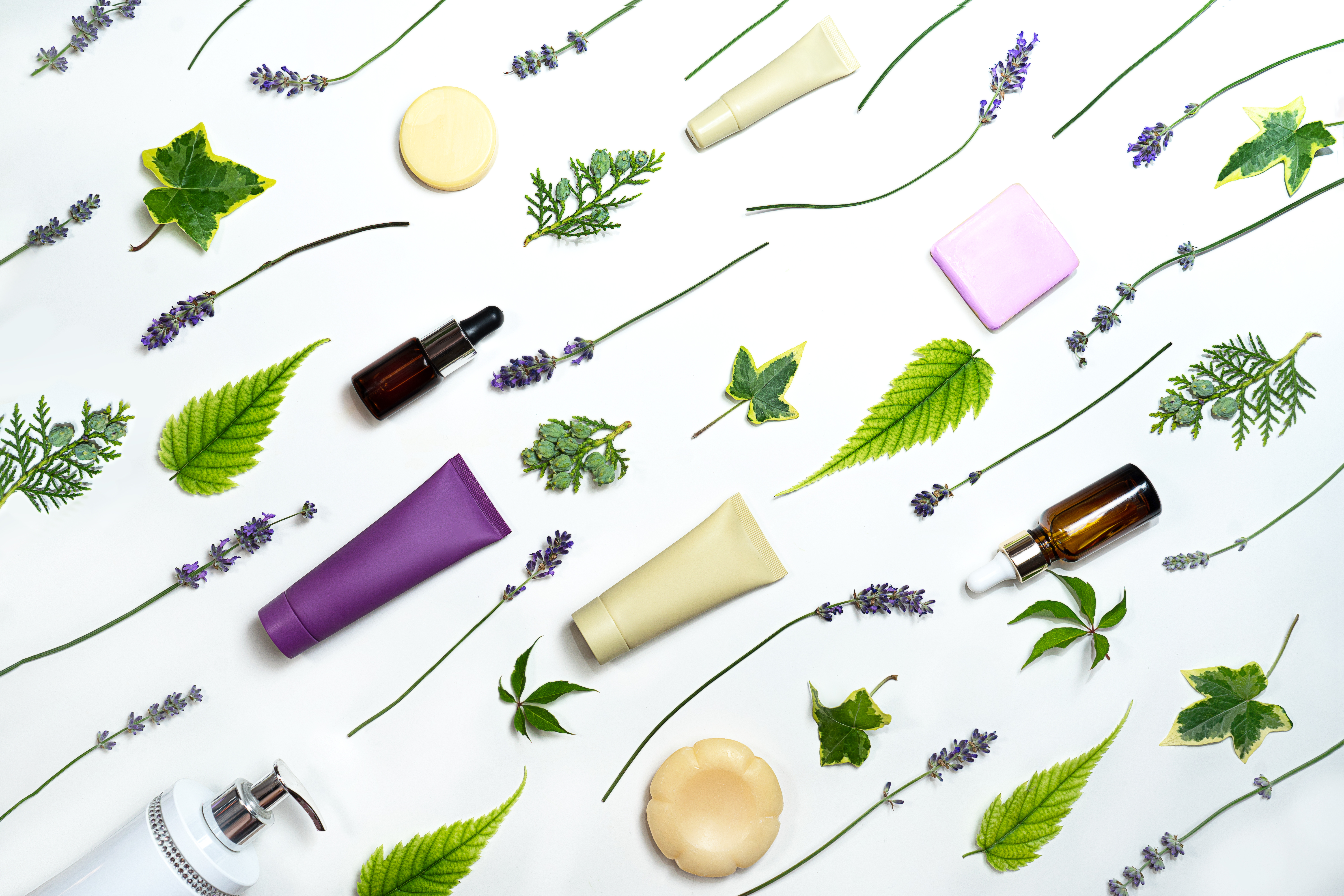 ervas arom&aacute;ticas