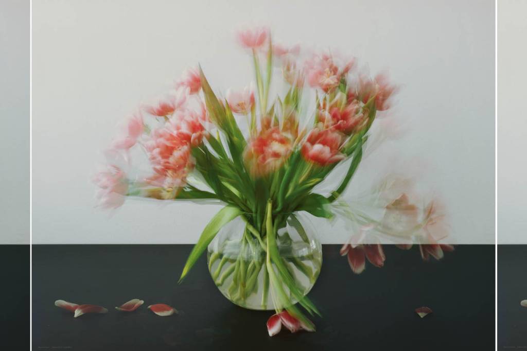 cultura picado-2 Still Life, de 2020, de Michael Wesely, da Casanova. Foto: