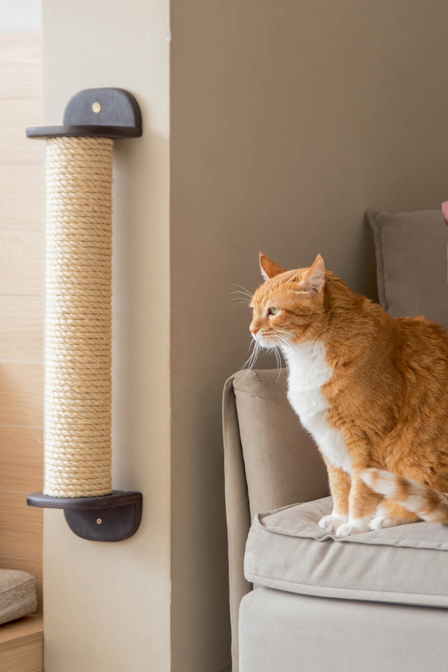 Decoração pets Arranhador para gato na decoração da casa