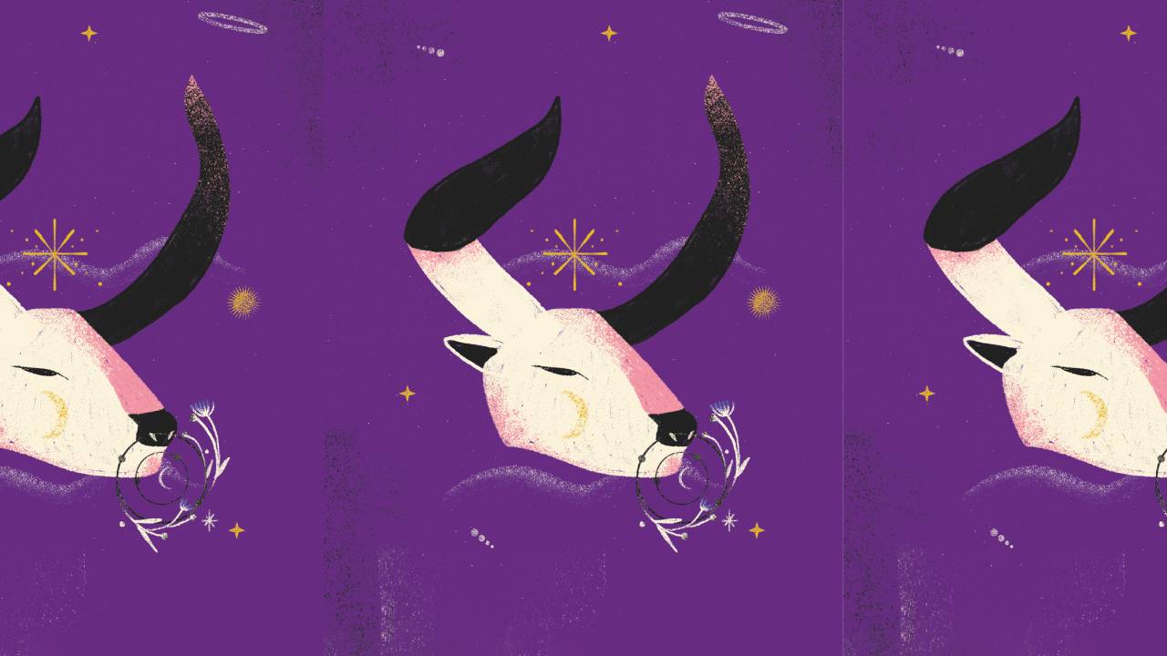 Ilustração Paula de Aguiar (@pauladiaguiar)