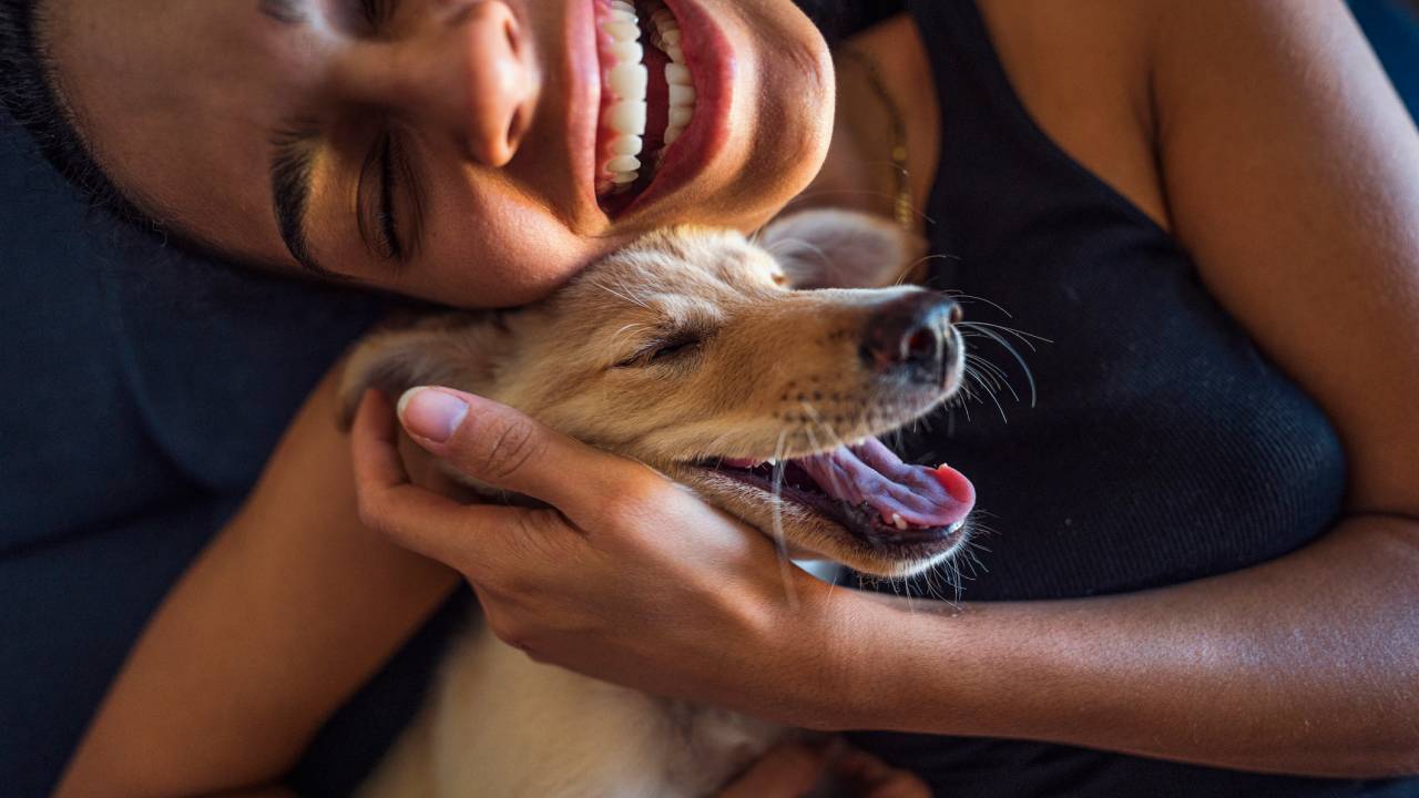 Mulher e cachorro