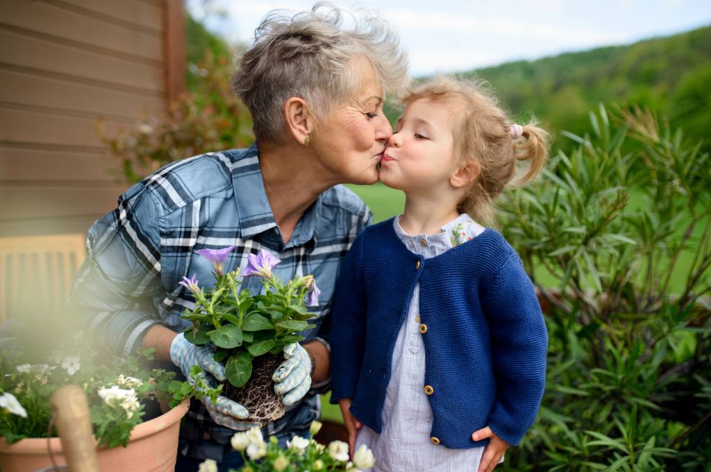 Dia dos avós: opções de plantas cultiváveis para presentear